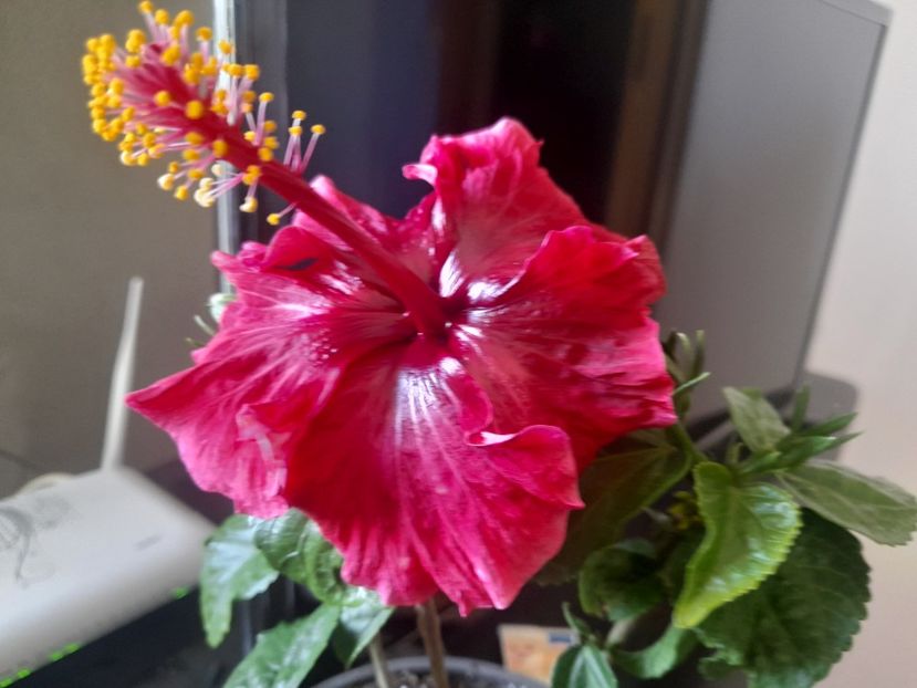  - 1 2024 Din nou cu natura impreuna !