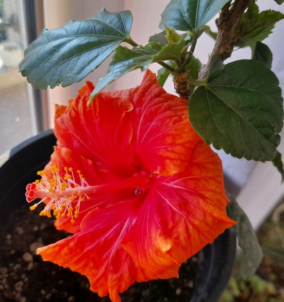  - 1 2024 Din nou cu natura impreuna !