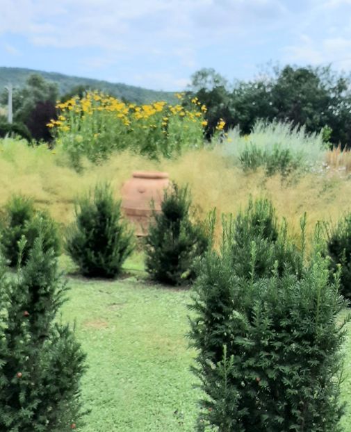  - Concediu 2023 Valea Jiului grădinile lui Zoe