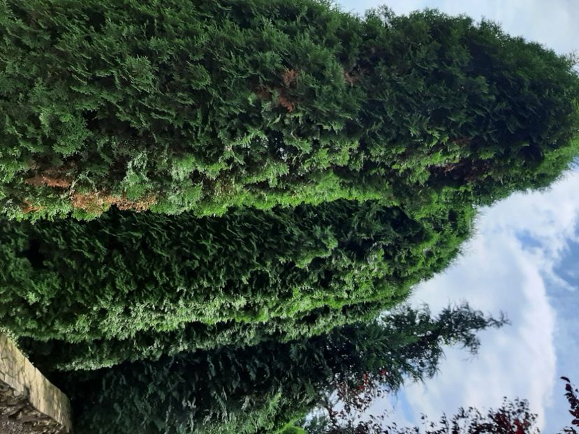 dc568af0-7d98-4b14-85ef-005cec530801-1_all_1778 - Concediu 2023 Valea Jiului grădinile lui Zoe