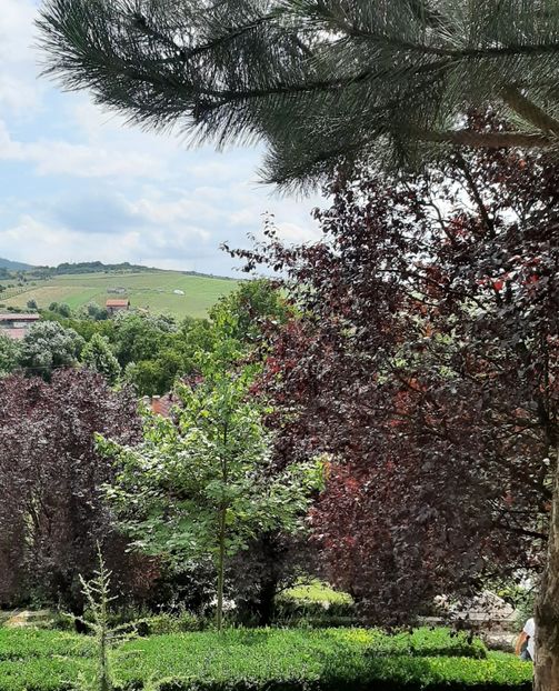  - Concediu 2023 Valea Jiului grădinile lui Zoe