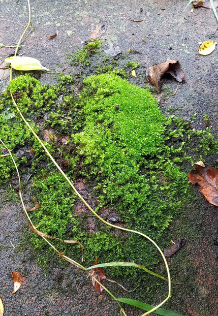  - 2024 - 03 - Toamna