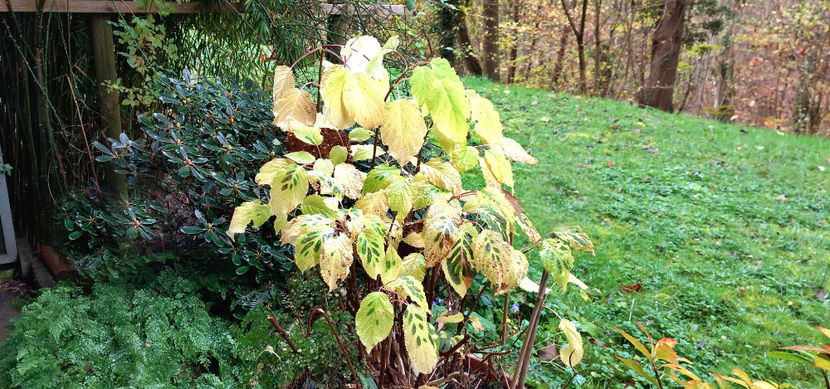  - 2024 - 03 - Toamna