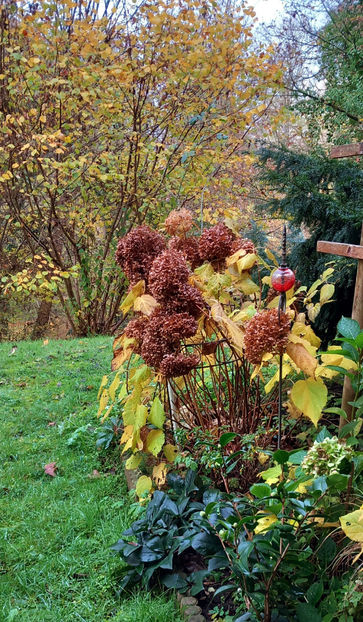  - 2024 - 03 - Toamna