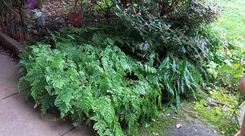  - 2024 - 03 - Toamna