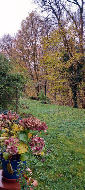  - 2024 - 03 - Toamna