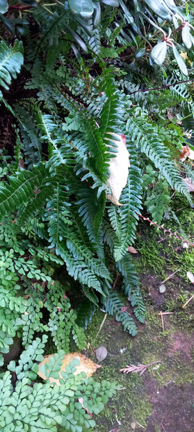  - 2024 - 03 - Toamna