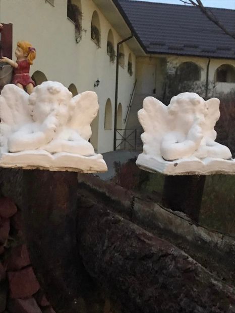  - 2024 noiembrie 27 OCNA MUREȘ ultima bălăceală MAN DUMBRAVA