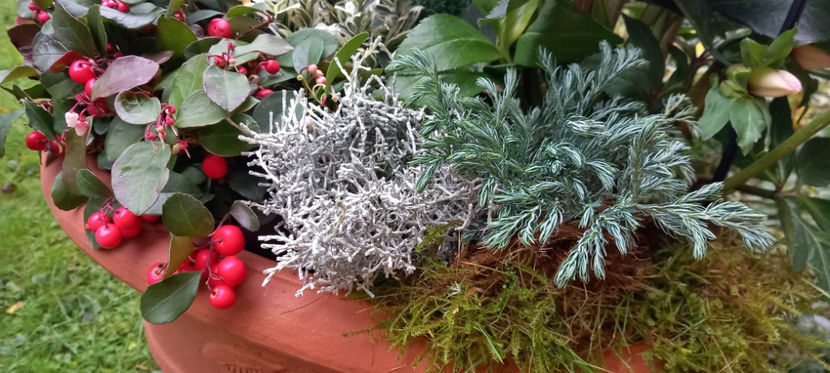 © - 2024 - 03 - Toamna