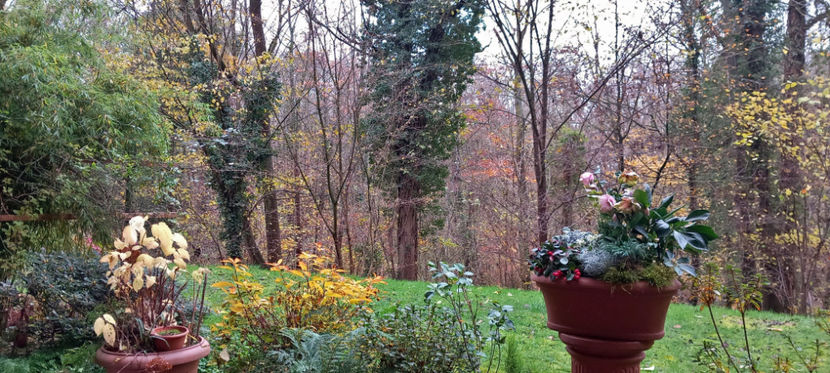 © - 2024 - 03 - Toamna