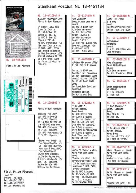 NL18-4451134 - GERONIMO - First Prize Pigeon