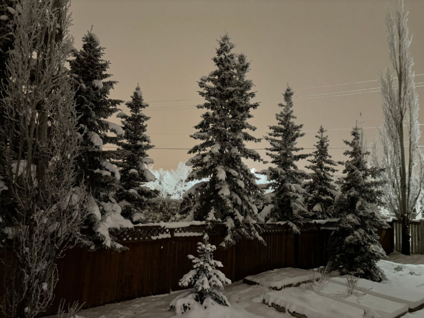  - Jurnalul gradinii 2024