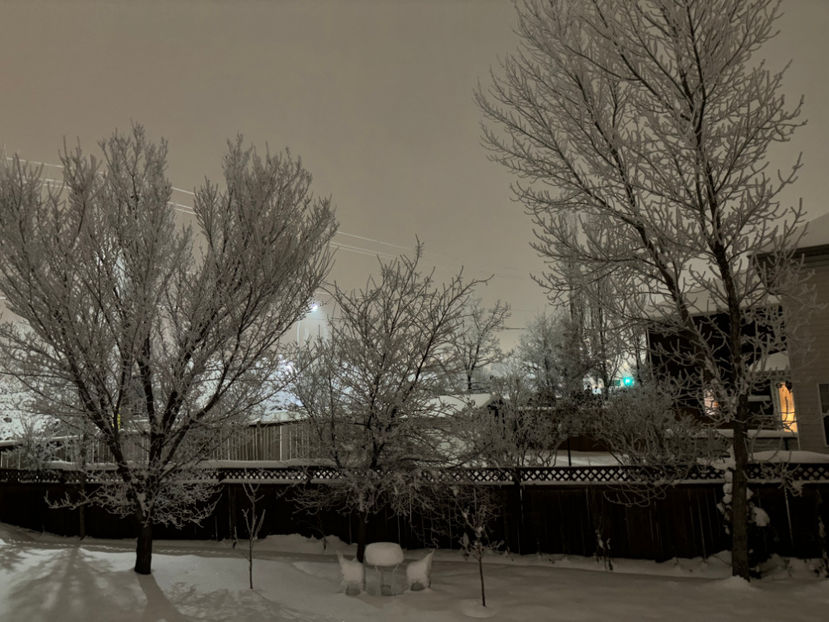  - Jurnalul gradinii 2024