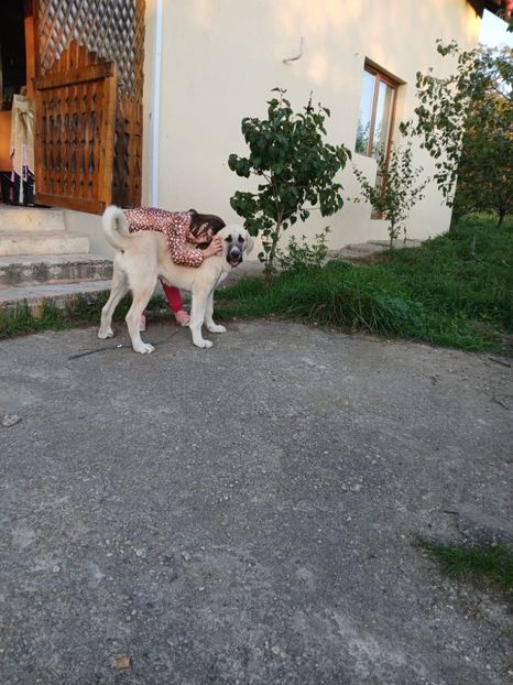 7e5f6ab6-6d33-4834-a1ed-e812df834f00 - hira