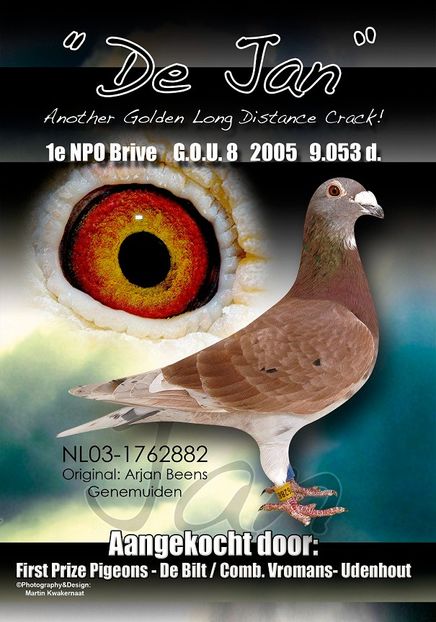 dejan - GERONIMO - First Prize Pigeon