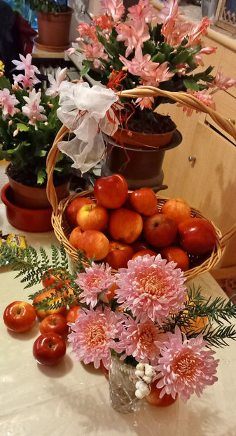  - 2024 - 04 - 2025 - 00 - Iarna