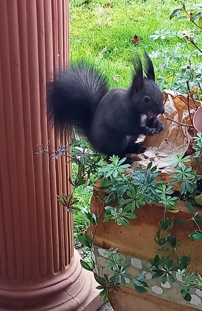  - 2024 - 04 - 2025 - 00 - Iarna