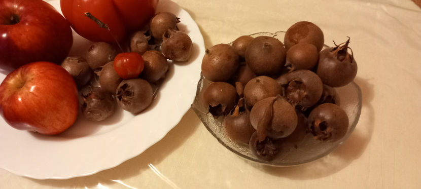  - 2024 - 04 - 2025 - 00 - Iarna