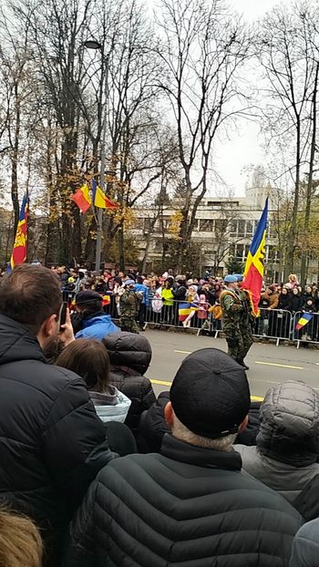 IMG20241201102044 - 1Decembrie 2024