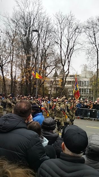 IMG20241201102022_01 - 1Decembrie 2024