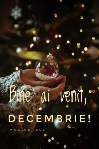  - Decembrie 2024