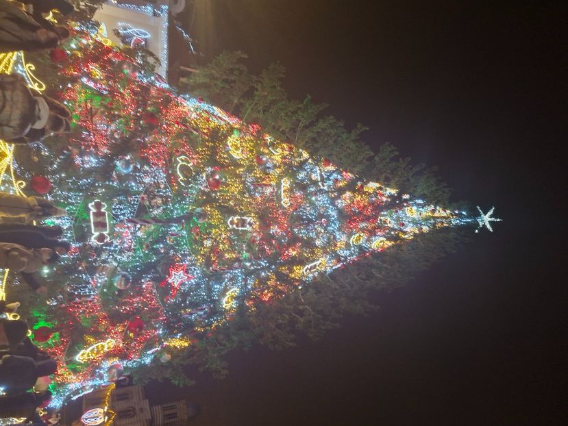  - Brașov 2024