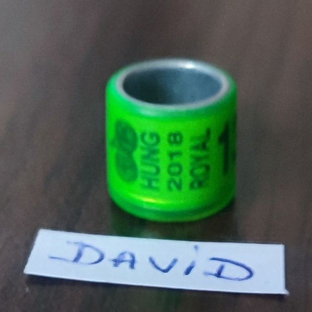 2018- Ungaria - Ungaria