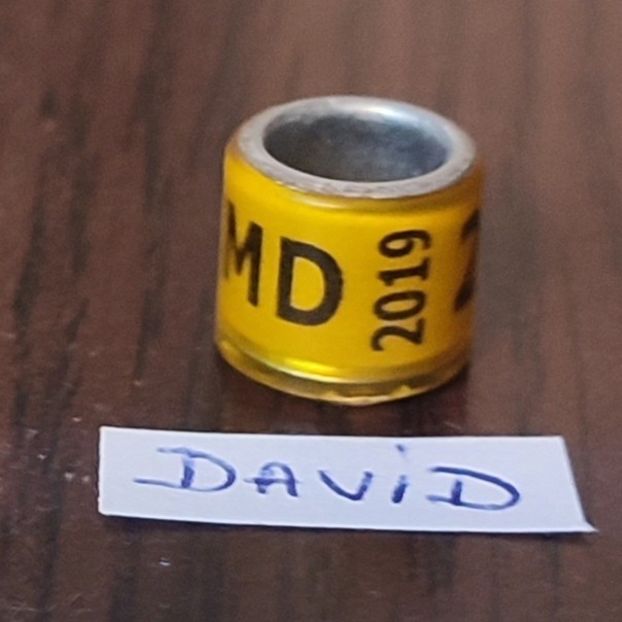 2019- Moldova - Moldova