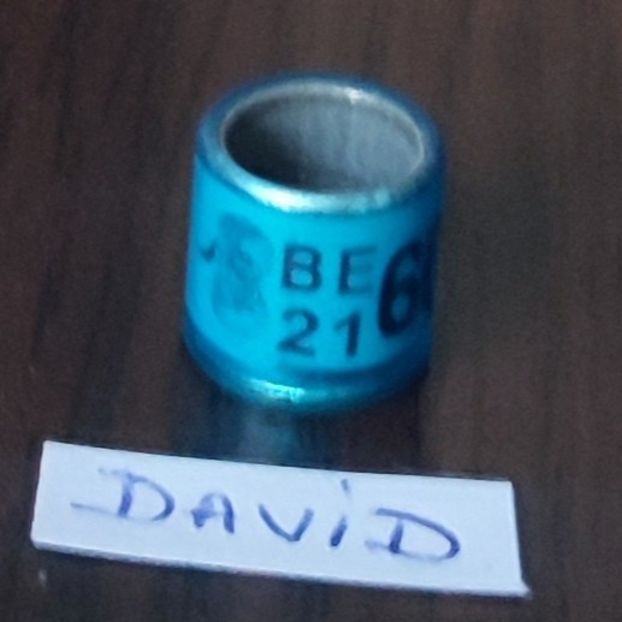 2021-:Belgia - Belgia