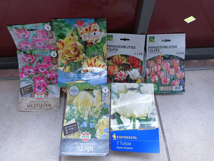 Img.2024.12.12 - Achiziții 2024