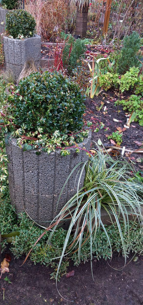  - 2024 - 04 - 2025 - 00 - Iarna