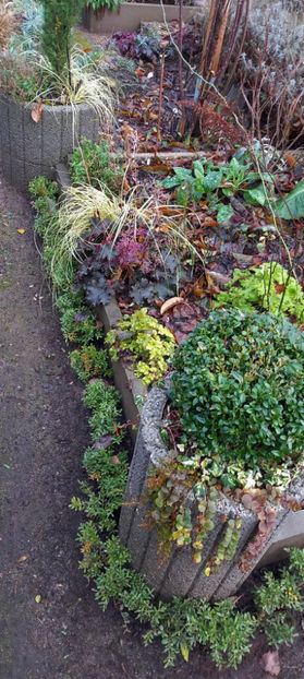  - 2024 - 04 - 2025 - 00 - Iarna