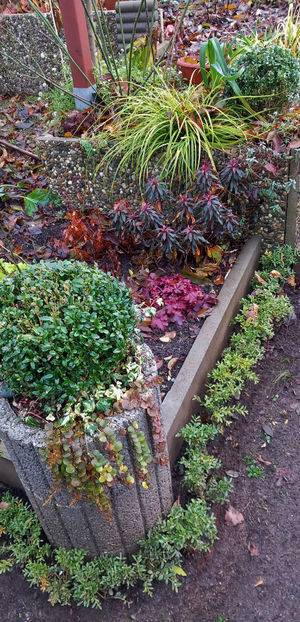  - 2024 - 04 - 2025 - 00 - Iarna