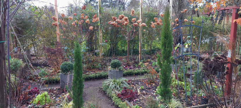  - 2024 - 04 - 2025 - 00 - Iarna