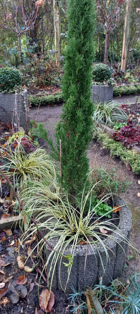  - 2024 - 04 - 2025 - 00 - Iarna