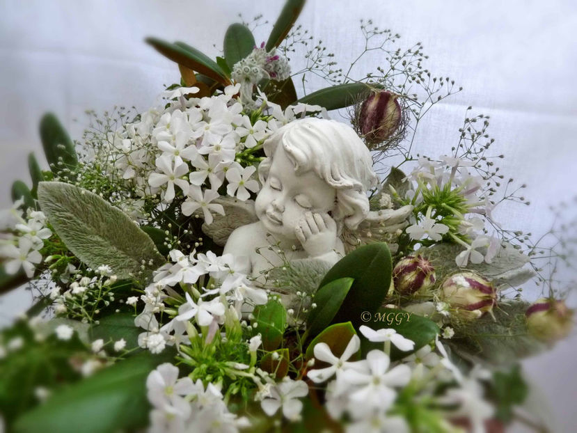 © - 01 - Floristica