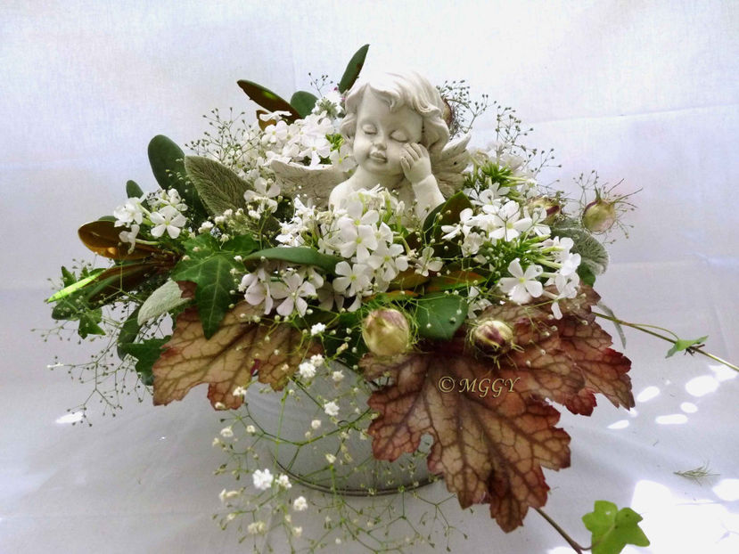 © - 01 - Floristica