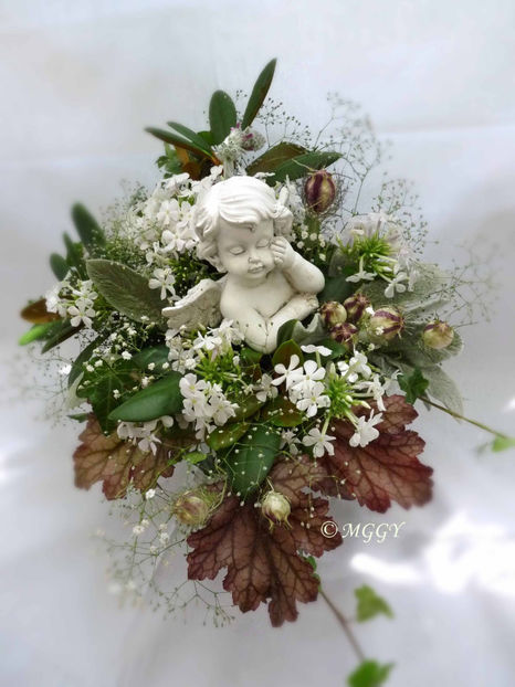 © - 01 - Floristica