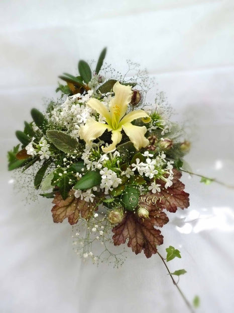 © - 01 - Floristica