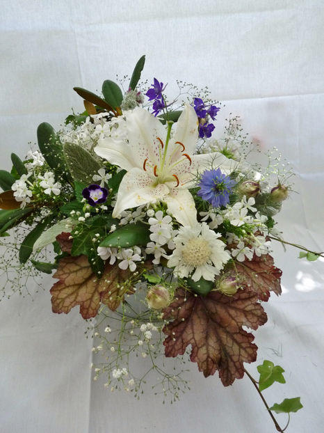 © - 01 - Floristica