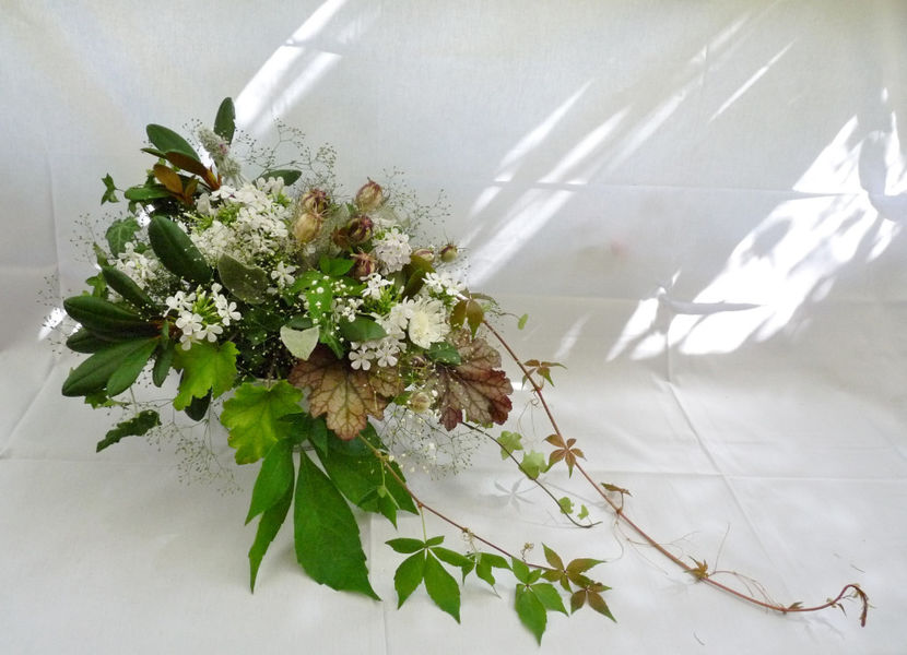 © - 01 - Floristica