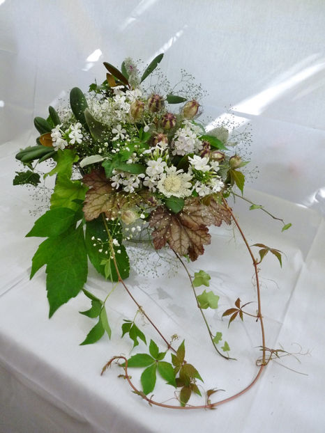 © - 01 - Floristica