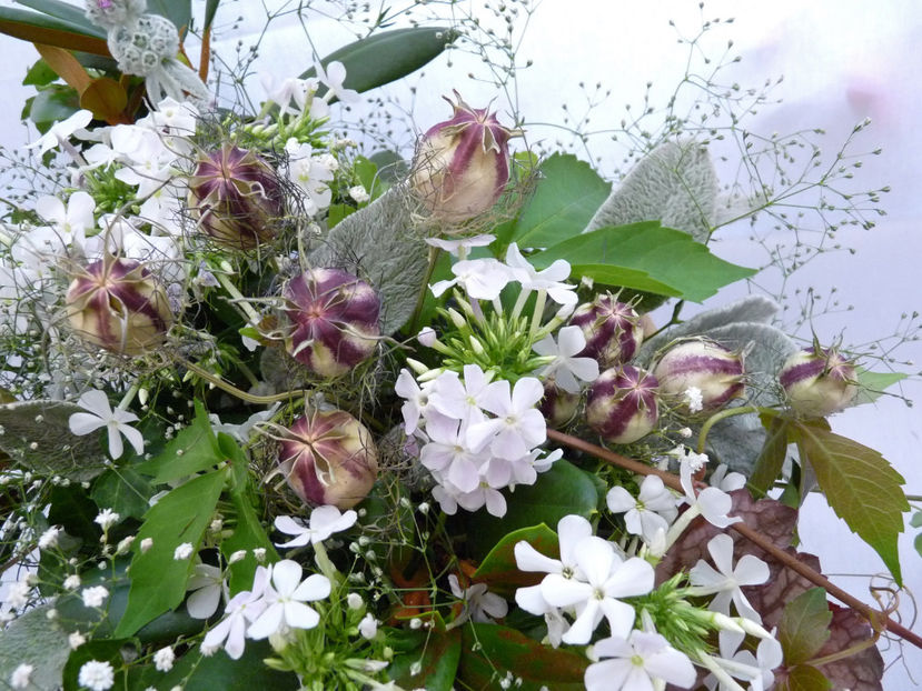 © - 01 - Floristica