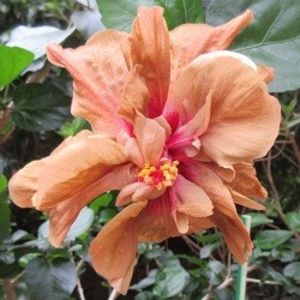 Brandon Stratton, poza preluata - Brandon Stratton