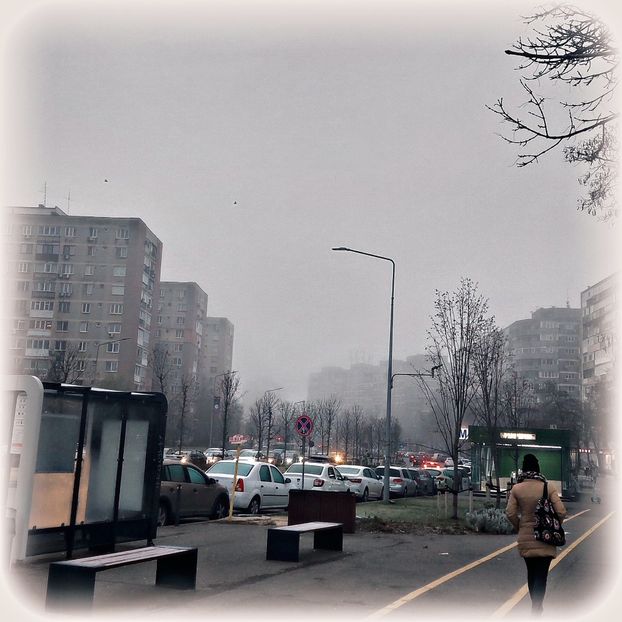 ♡ Day 22 ; 06.12.2024 - Birds of a Feather - STREAK