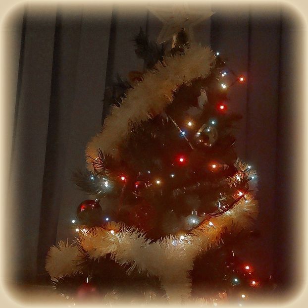 ♡ Day 24 ; 08.12.2024 - Birds of a Feather - STREAK