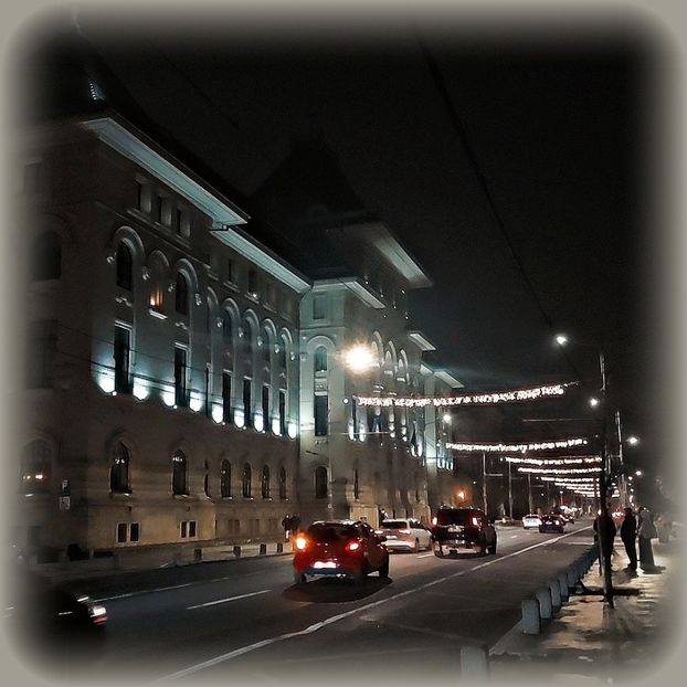 ♡ Day 26 ; 10.12.2024 - Birds of a Feather - STREAK