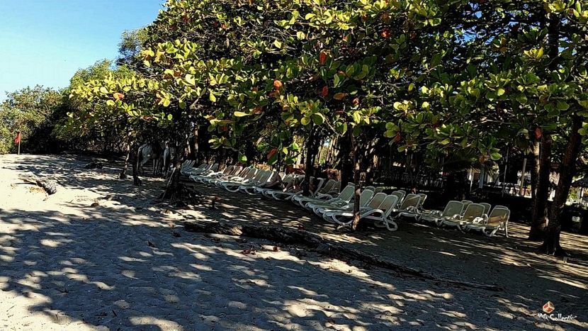 COSTA RICA - BEACH 2 - --- COSTA RICA