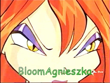 dark  bloom:am  rupt  cartile  ha ha - banda  desenata  winx  o  iubire  in  intuneric  part  1