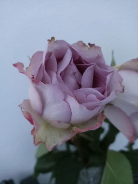 Img.2024.12.13 - Calendarul